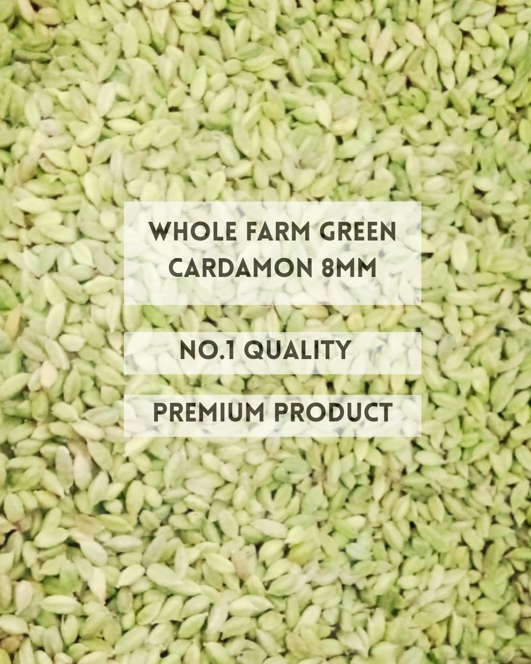 Whole  Farm Green Cardomon 8MM (యలకులుసైజు 8MM)